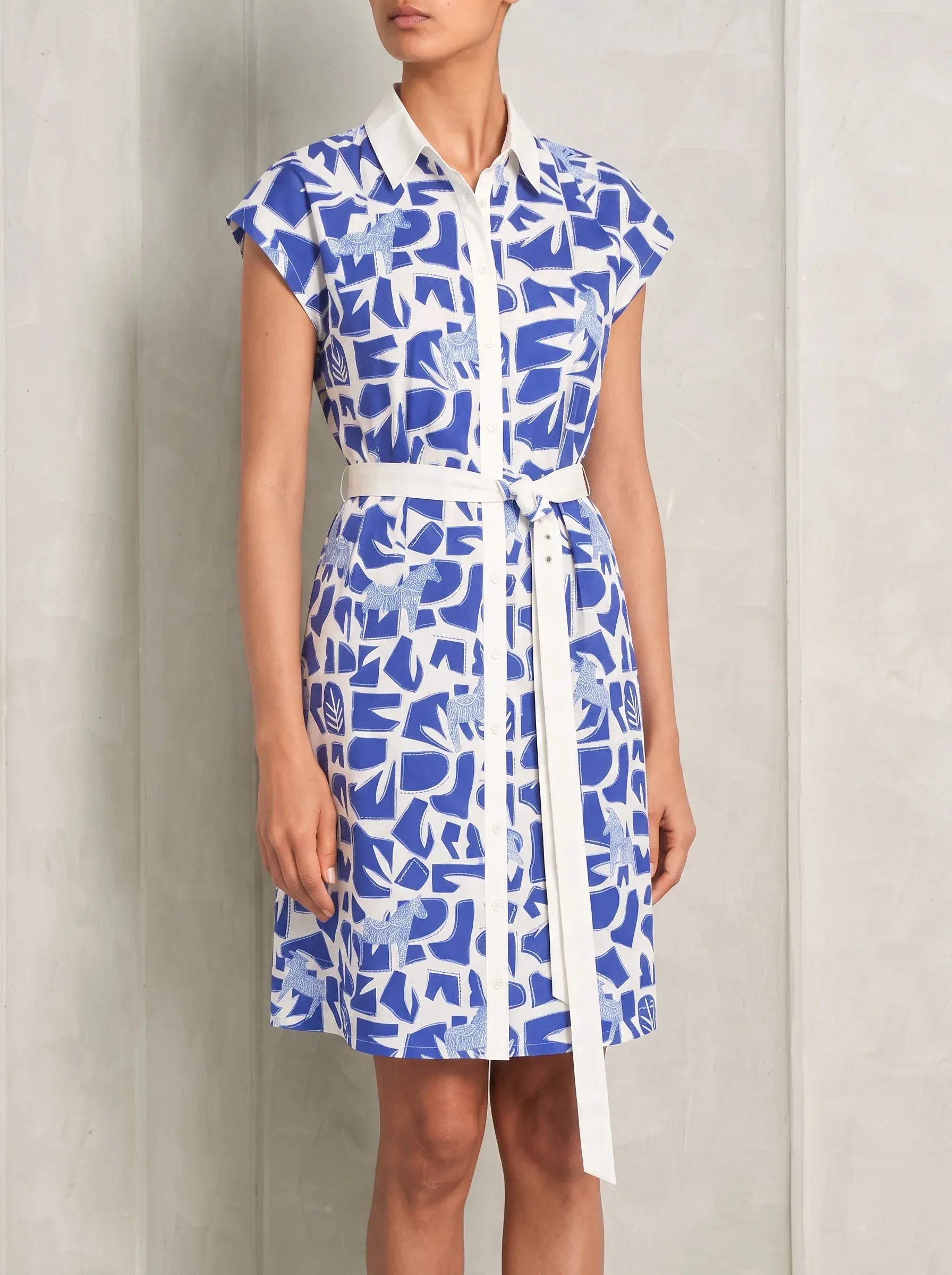 The Jaminique Shirt Dress